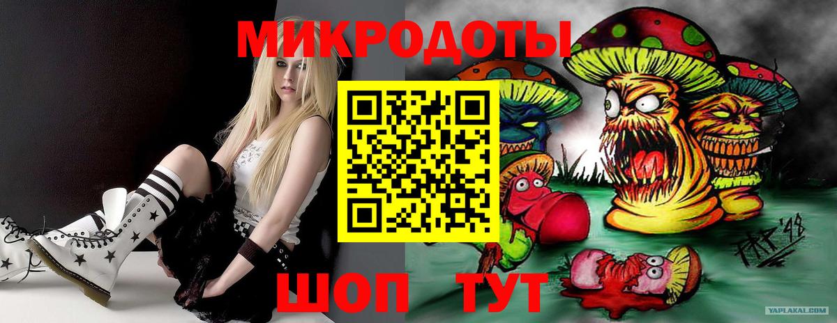 Славянск-на-Кубани  Псилоцибиновые грибы Cubensis  Вход с VPN 
